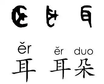 《耳》字笔画,笔顺 汉字   耳 读音    ěr 部首    耳 笔画数