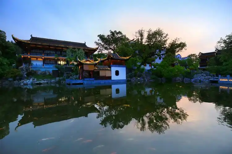 文化眼光中心论点_文化眼光_用文化眼光看生活