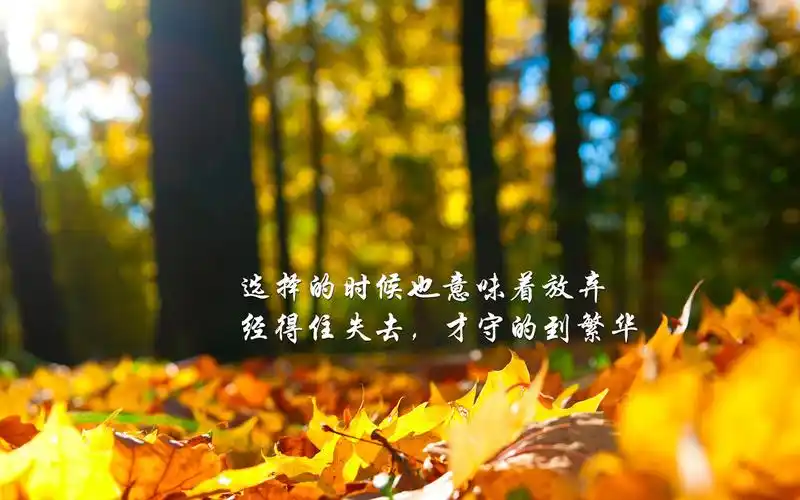 励志正能量名言高清桌面壁纸