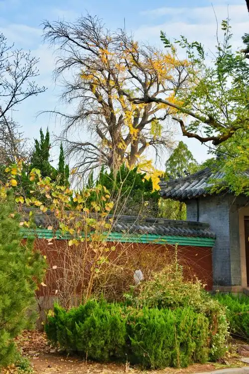 佛教圣地【法海寺】