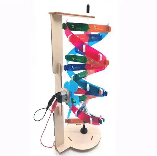 人体基因dna模型螺旋 科技小制作diy生物科学实验器材科普教具