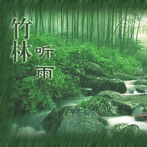 星宇轩:《竹林听雨》【纯雨声】