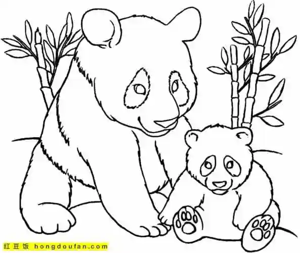 12张动物园大宝贝可爱熊猫涂色简笔画-红豆饭小学生简笔画大全