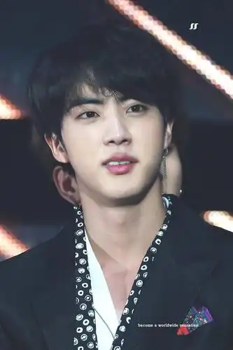 防弹少年团 金硕珍