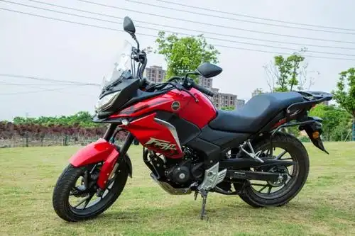 小排量也能玩拉力—新大洲本田cbf190x静态测评