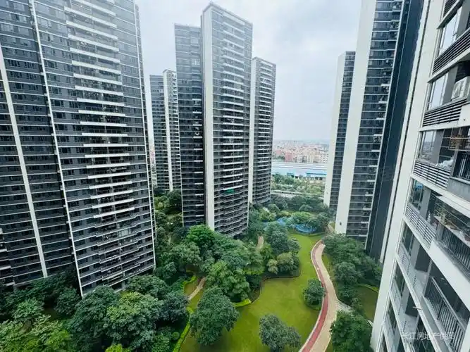 融创望江府   江景 中间楼层 江景无遮挡 急售 配套成熟