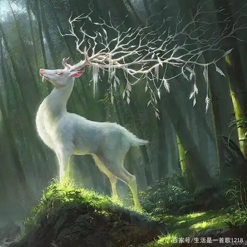 民间故事:白鹿并非为所有人带来好运