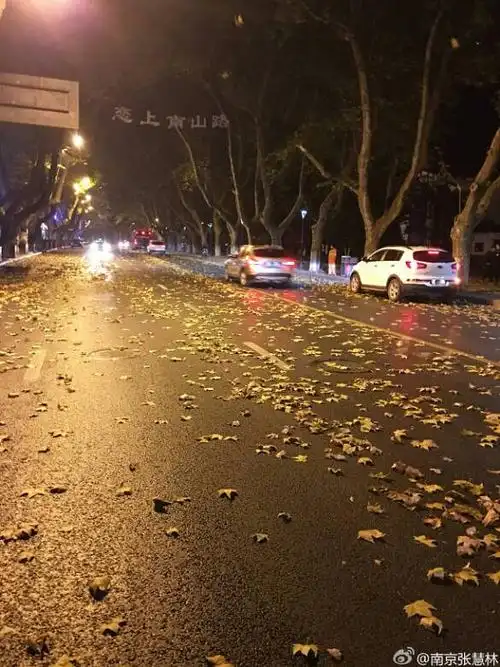 【恋上南山路】一阵大风吹过,杭州南山路上
