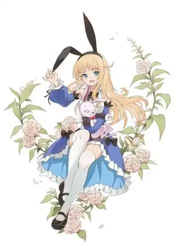 不思议国度のalice