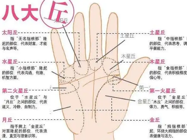 手掌的纹线的年龄(手掌纹有哪些线表示大富大贵)