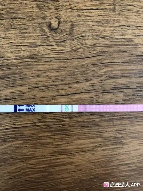 排卵试纸强阳