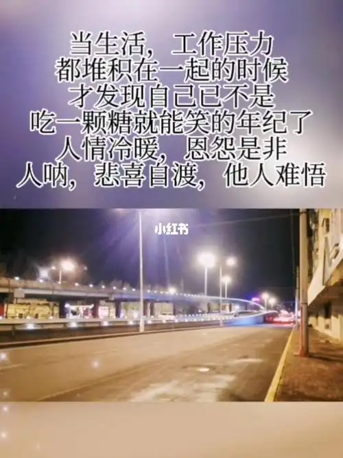 人情冷暖恩怨是非人呐悲喜自渡他人