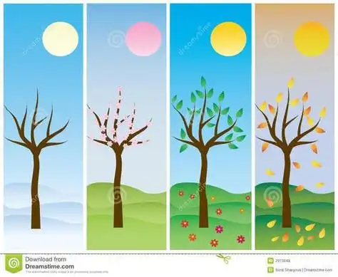 春天夏天秋天冬天简笔画四季的色彩