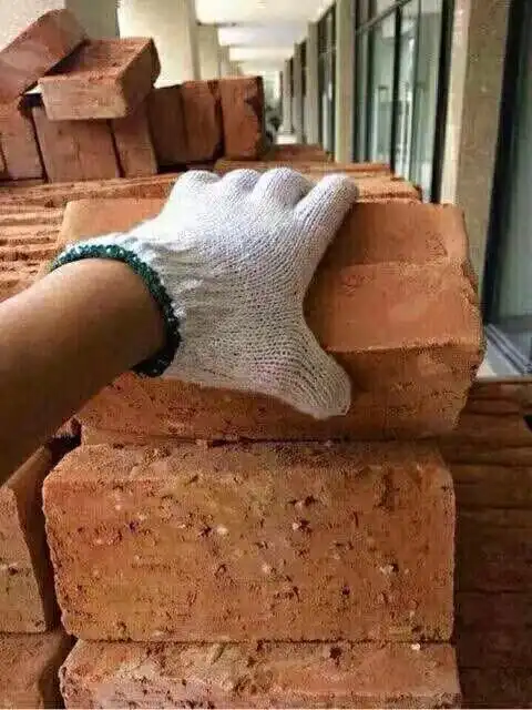 67义乌之狼瞎比比不行了我一定要创业