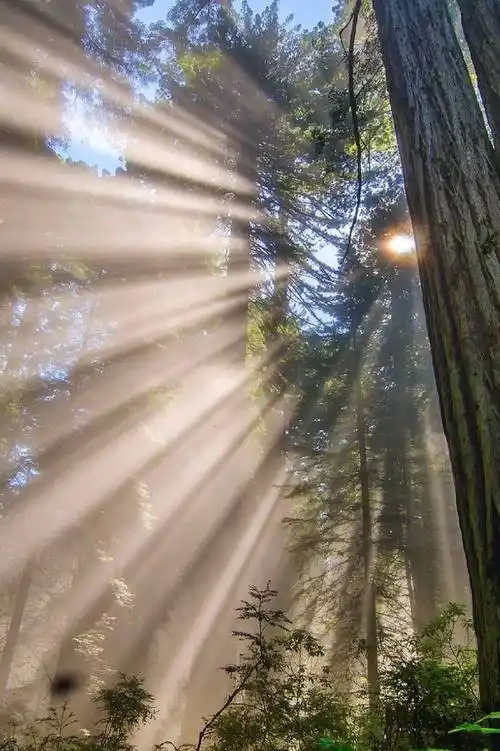 描写太阳的古诗词精选,日出日落互相交替,体现了诗人忧愁与喜悦