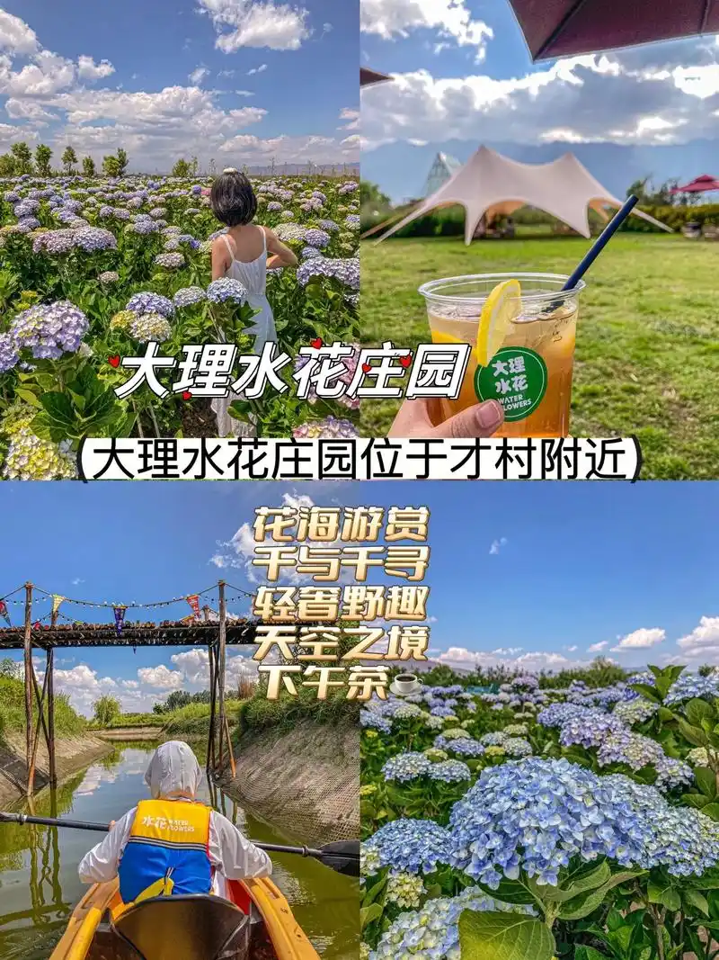 来大理必打卡大理水花庄园!