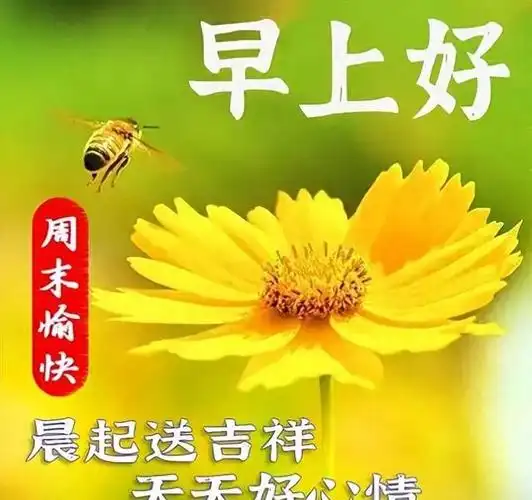 迎接美好的一天,享受健康的幸福