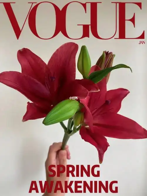 红宝石亚百合网购鲜花