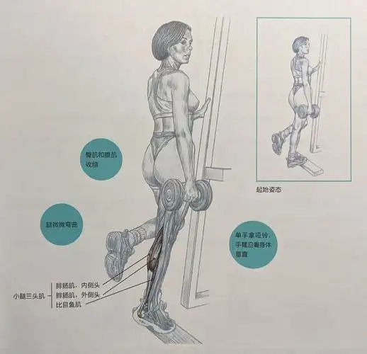 锻炼腿部 #手握哑铃  ,单脚伸展【准备 | 图1】目标:单独锻炼小腿肌肉
