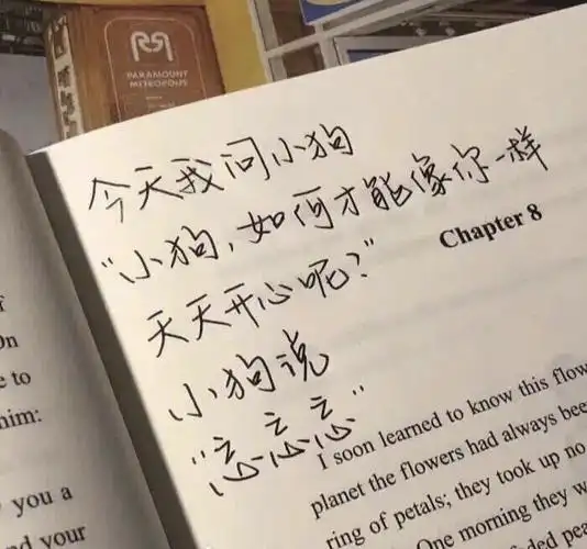 高级感小众ins壁纸好看又治愈的背景图