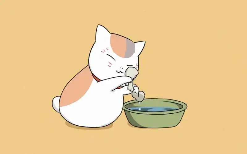 夏目友人帐之超可爱的猫咪老师