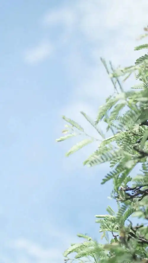 蓝色系小清新微信聊天背景图片蓝色系唯美小清新手机壁纸