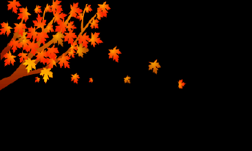 人心如落叶(写得好!