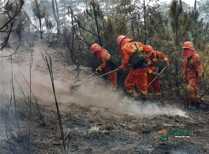 四川西昌突发森林大火武警凉山支队官兵火速驰援