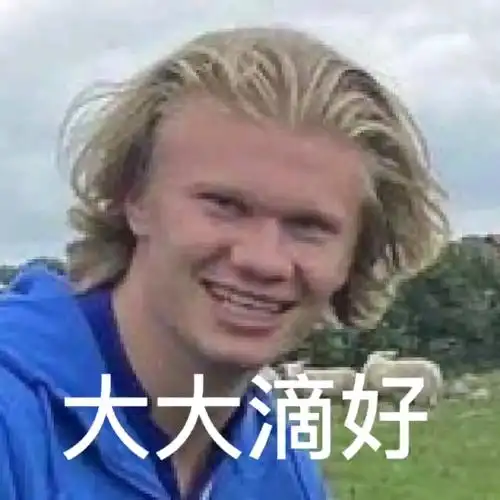 活动作品来看看球员的表情包吧哈兰德狗头