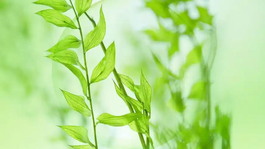 壁纸李敏镐图片佟丽娅图片林允儿图片卡通图片治愈系图片柳岩图片小