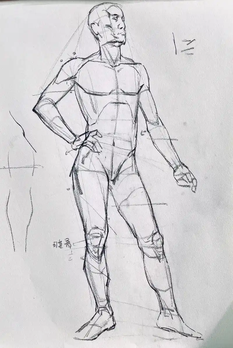 了解人体是速写的基础哦#速写入门 #速写练习 - 抖音