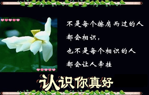 认识你真好
