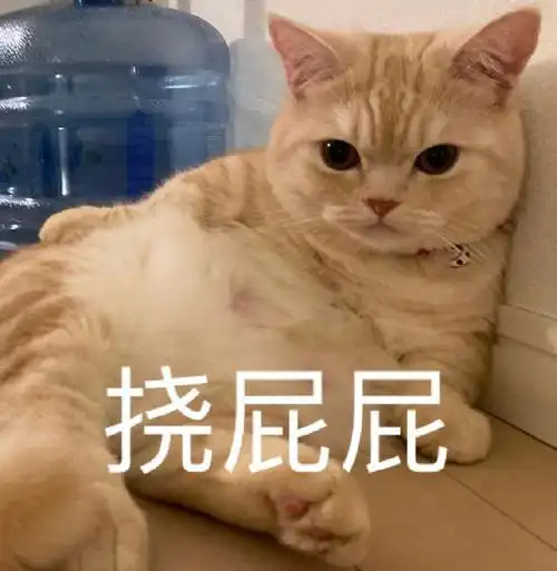 污污表情包图片快来看戏你好厉害