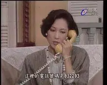 刘德凯版今夜相思雨剧照