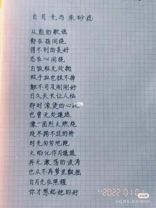 白月光与朱砂痣