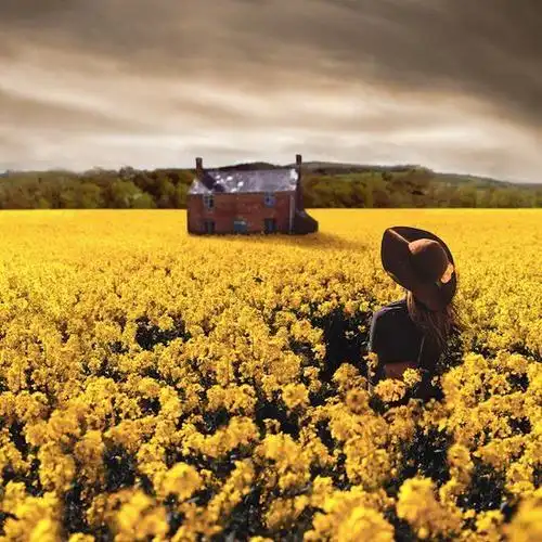 【大师摄影作品鉴赏】rosie anne 诡异抽象的摄影艺术 #采集大赛