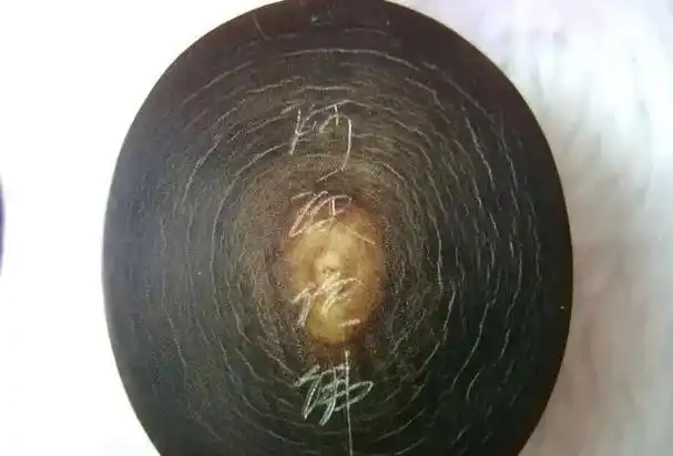 鉴别:真假犀牛角!看这篇就够了!