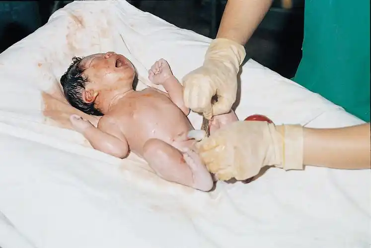 图解自然分娩全过程胆小者勿入