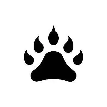 脚印,动物,象征,矢量,插画,黑色,标识,隔绝,背景