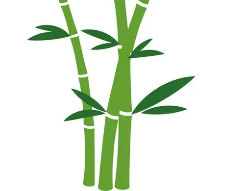 绿色卡通手绘小清新竹子免抠素材