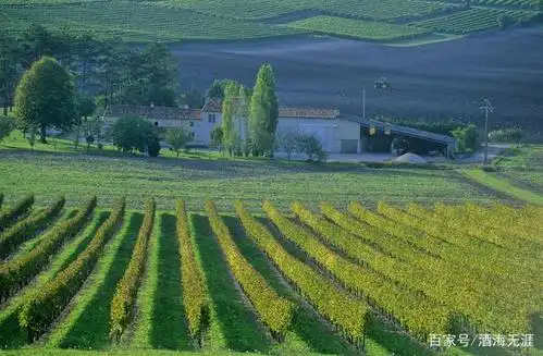 1935年,雅文邑和干邑被法国政府划为受保护的法定产区.