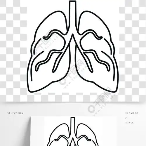 肺结核图标概述肺结核在白色背景上孤立的网络设计矢量图标的插图肺