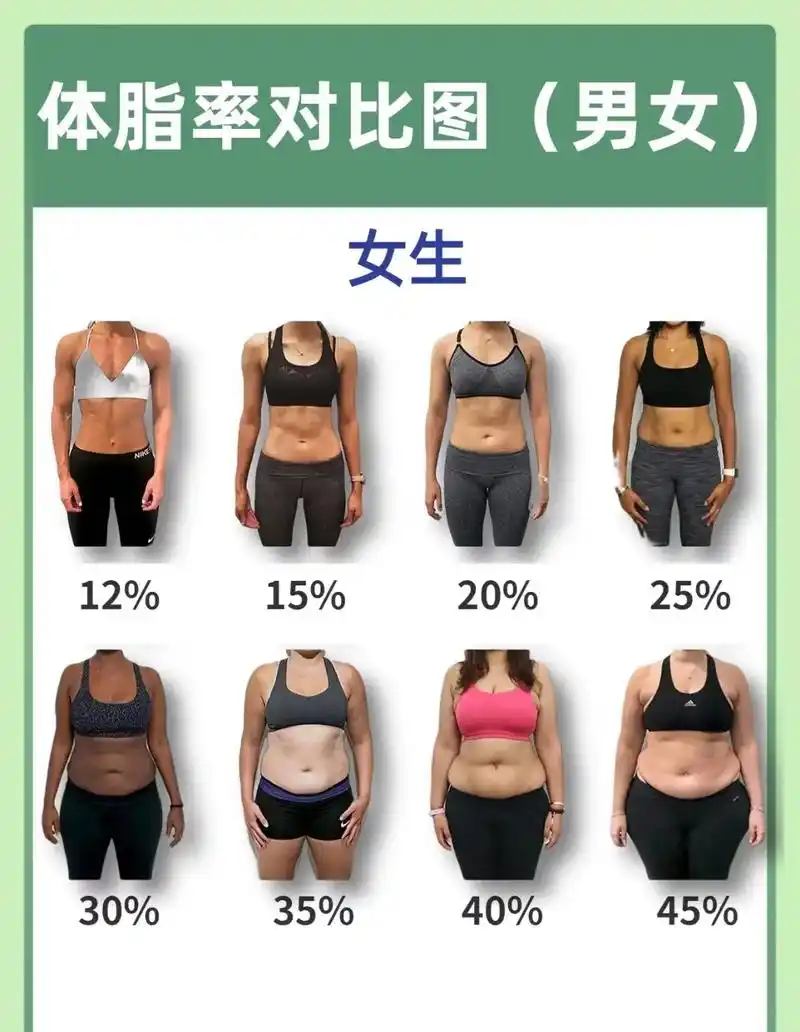 超实用体脂率对照表 快来看看你的体脂率.#屋顶会着火人容易犯 - 抖音