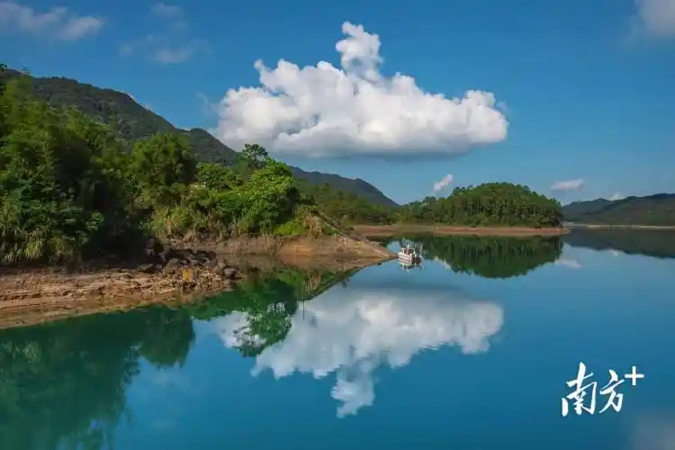 阳春八甲仙湖风光旖旎 | 南方拍客看广东_张冠军_水作青_图片