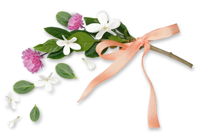 【转载】《浪漫花边框》png免抠图素材