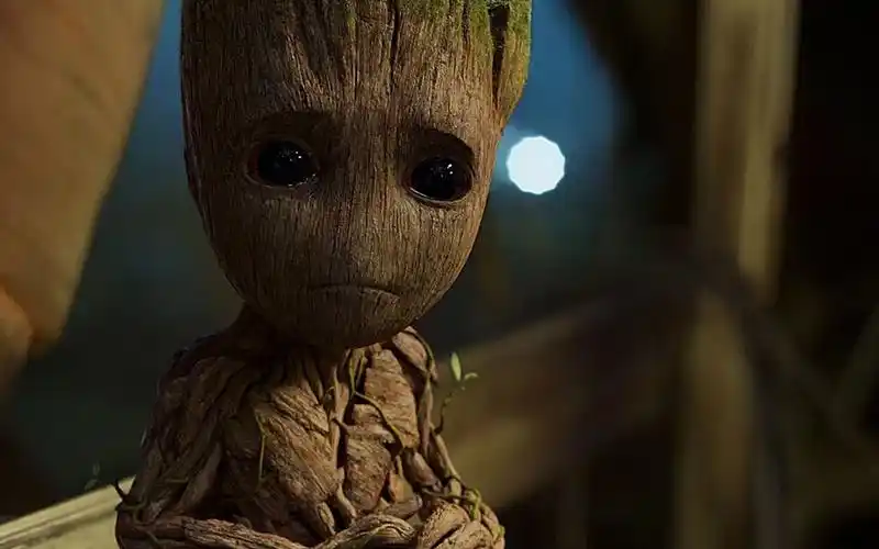 格鲁特太可爱了