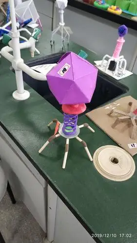 2019年莆田四中科技节之生物模型制作比赛活动小结