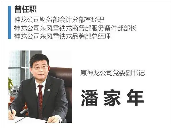 神龙公司人事调整高大林出任党委书记