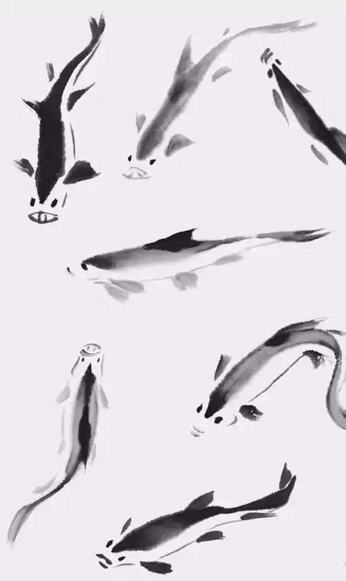 书画联盟丨画鱼技法初学者的学习临摹范本