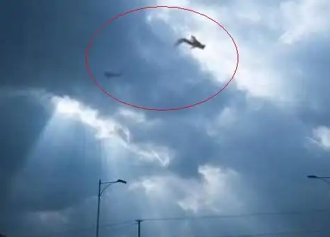 龙骨现身中国 原来世上真的存在真龙